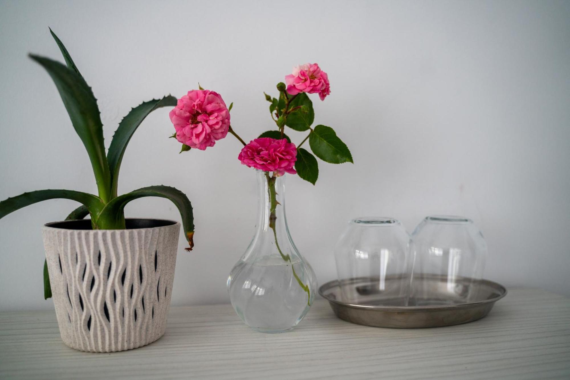 Din Natura Varbilau Ngoại thất bức ảnh