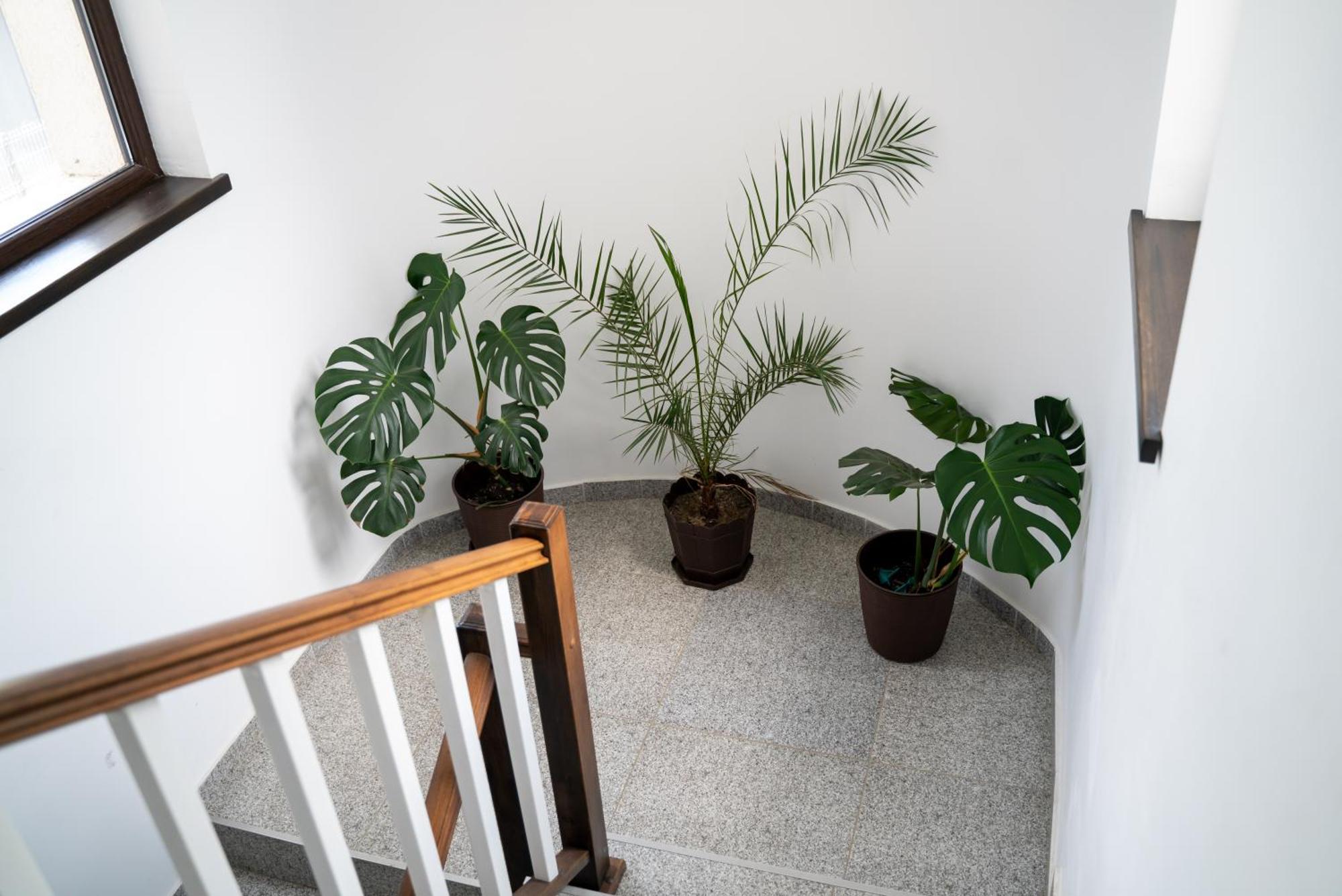 Din Natura Varbilau Ngoại thất bức ảnh